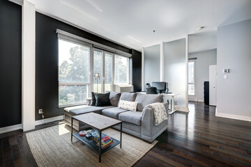 Beautiful modern well staged furnished apartment in apartment building, Canadian North American style