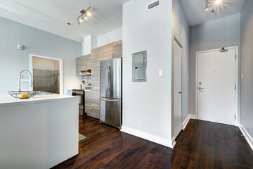 Beautiful modern well staged furnished apartment in apartment building, Canadian North American style