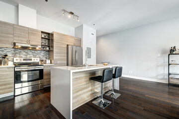 Beautiful modern well staged furnished apartment in apartment building, Canadian North American style