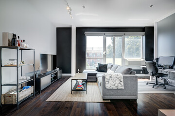 Beautiful modern well staged furnished apartment in apartment building, Canadian North American style