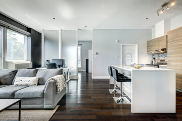 Beautiful modern well staged furnished apartment in apartment building, Canadian North American...