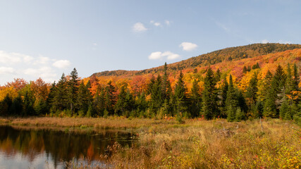 Autumnal view of a small lake surrounded by trees in the Megantic national park, Canada