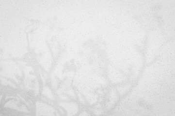 Abstract Shadow. blurred background. gray leaves that reflect concrete walls on a white wall surface for blurred backgrounds and monochrome wallpapers. 