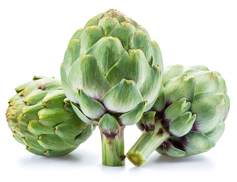 Artichoke flower edible buds isolated on white background.