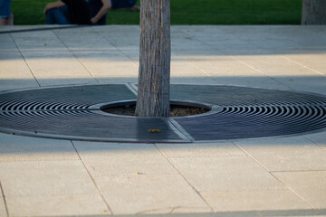 metal grate for draining water on a tree