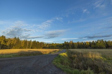 Amazing beauty  sunset on road in autumn forest on blue sky with white clouds. Beautiful autumn nature backgrounds.