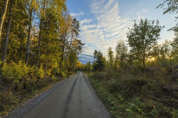 Obraz premium Amazing beauty sunset on road in autumn forest on blue sky with white clouds. Beautiful autumn nature backgrounds.