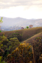 Landscape with several trees, mountains and a village.