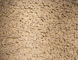 Rough beige concrete stone wall bright in sunlight for background or texture