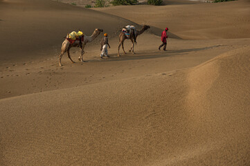 Man with camel walking across sand dunes in Jaisalmer, Rajasthan, India.