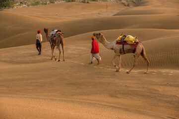 Man with camel walking across sand dunes in Jaisalmer, Rajasthan, India.