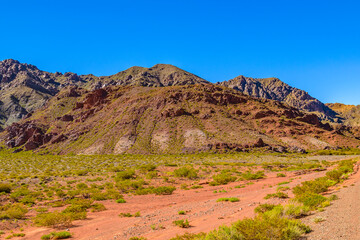 Arid Landscape Brava Lagoon Reserve La Rioja, Argentina