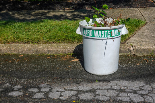 White trash can labeled yard waste full of plant debris on an asphalt road by a curb