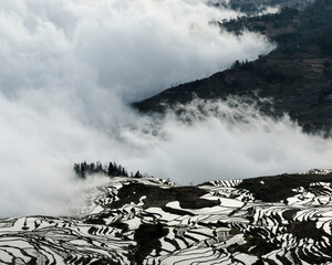 Sea of clouds at sunrise, Duoyishu viewpoint, Yuanyang rice terraces, Honghe, Yunnan Province, China