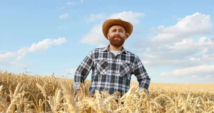 Portrait of handsome Caucasian male agricultor looking away while standing in the middle of the golden wheat field. Red-haired farmer in hat in countryside outdoors. Cultivation concept