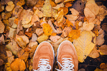 brown suede sneakers on autumn leaves