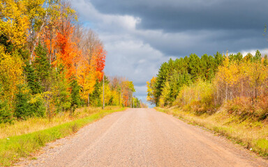 Autumn scenes under sunny day	