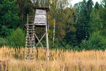 Hunters hut in the forest by the road. Wooden rural watch tower for hunters.