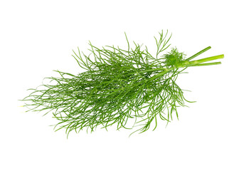 Dill isolated on white.