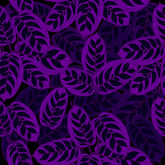 Seamless pattern of ctenanthe burle-marxii leaves, vector