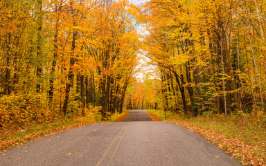 Autumn scenes under sunny day	