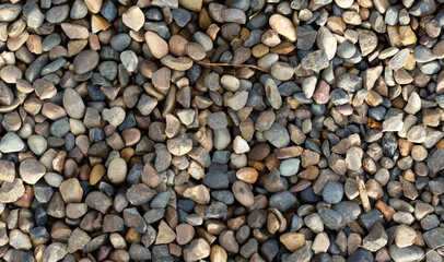 Abstract background and texture of colorful pebble in the garden