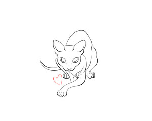 Hunting the canadian Sphinx with the heart illustration 