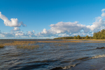 Lomonosov district. Scenic view of Cape Grey horse and the Bay next to the Cape.