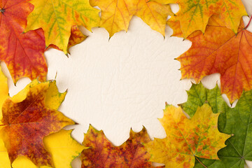 Naklejka na ściany i meble Frame made from vibrant colorful natural maple leaves. Autumn theme.