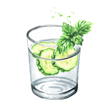 Glass of purified drinking water with fresh cucumber slices and mint leaf. Hand drawn watercolor illustration, isolated on white background