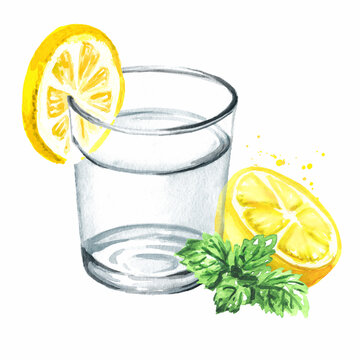 Glass of purified drinking water with fresh lemon and mint . Hand drawn watercolor illustration isolated on white background