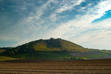 landscape with a field in Autumn 