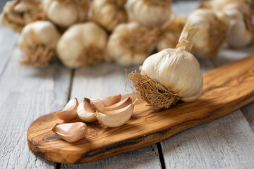 Organic grown garlic