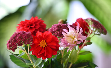 Detailaufnahme von roten und rosa (rose) Blüten in einem Blumenstrauß mit weiß grünem...