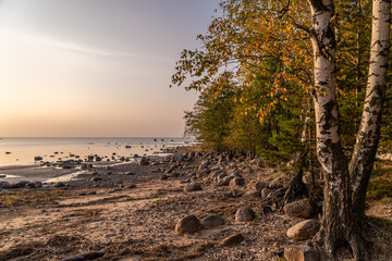 Lomonosov district. Scenic view of Cape Grey horse and the Bay next to the Cape.