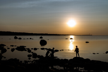 Fototapeta premium Picturesque view of the Bay near the Cape Gray horse in the Lomonosov district.