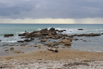 Fototapeta na wymiar Sea rocks on the beach with rain clouds in the background, Beautiful autumn landscape