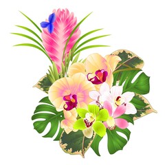 Tropical flowers yellow orchid Phalaenopsis and  cymbidium various and Tillandsia bouquet with palm,philodendron on a white background vintage vector illustration editable hand draw