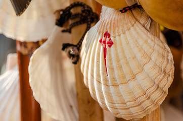 Conchas de Vieira de peregrinos a Santiago de Compostela