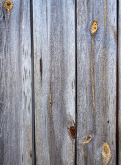 Gray rough gnarled old boards. Raw old boards that have darkened with age