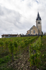 Fototapeta na wymiar Eglise et ancienne mairie de Rignat surplombent la vigne 