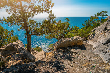 Fototapeta na wymiar Panoramic seascape, calm azure sea and bright sun. View of the black sea coast of Crimea, Cape. Copy space. The concept of calm, silence and unity with nature