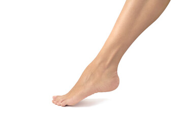 Beautiful female feets retouched and isolated on a white background. Stand on toes. Empty space,...