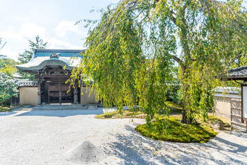 Fototapeta premium 京都 高台寺