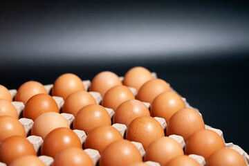Egg tray with product on a dark background. Side view.