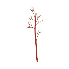 Fototapeta premium Silhouette of dry autumn seasonal elegant tree with leaves