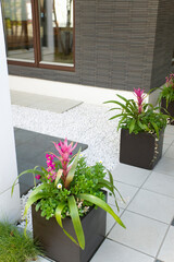 Obraz premium 園芸