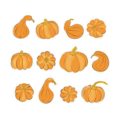 Vector autumn pumpkins set. Hand-drawn colored . Sketch. Cartoon. Doodle style.