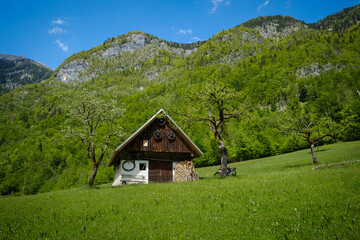 Fototapeta na wymiar Old house in Voje valley in Slovenia