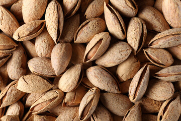 たくさんの殻付きアーモンド